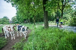 20160521ab01479