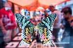 20180610ab04264