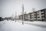 Jaaroverzicht 2021