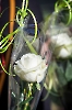 20220508ab10106