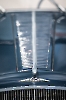 20220709ab11234